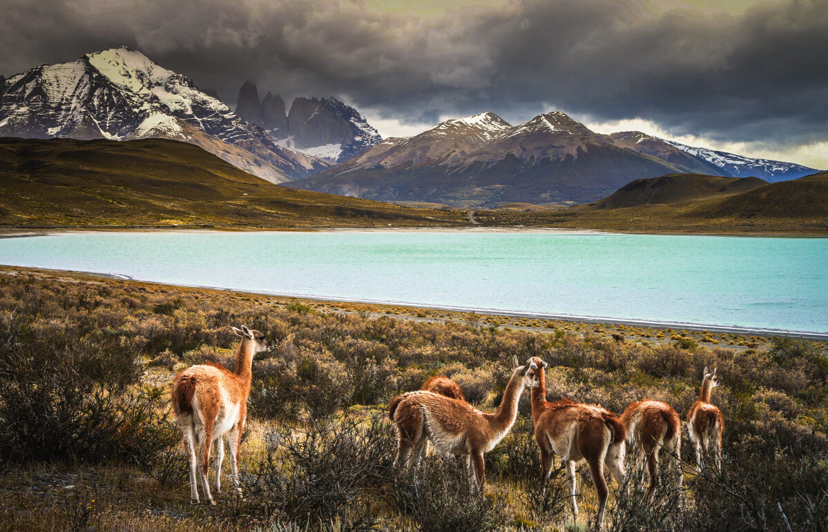 Torres del Paine
